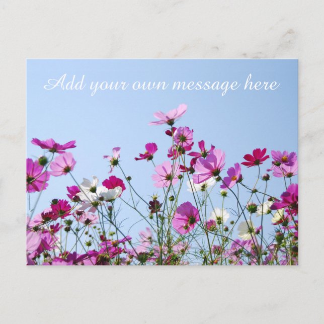 Pretty Pink Meadow Custom Message Postcard (Front)