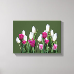 Pretty pink modern colourful tulip floral digital canvas print
