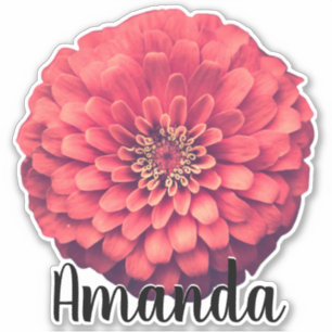 Pretty Pink Monogram Name Flower Nature Plant Cute