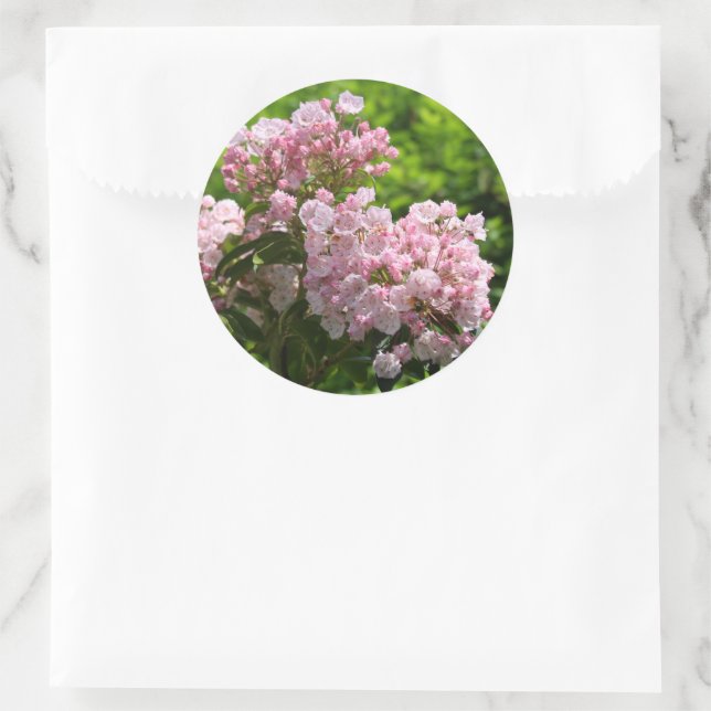 Pretty Pink Mountain Laurel Flowers Classic Round Sticker (Bag)
