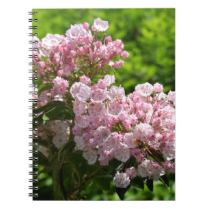 Pretty Pink Mountain Laurel Flowers Spiral Notebook