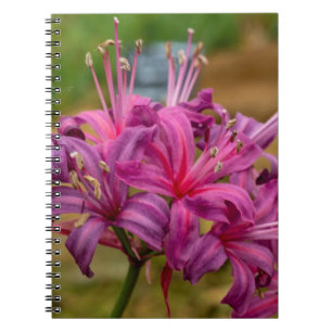 Pretty Pink Nerine Flowers Spiral Notebook