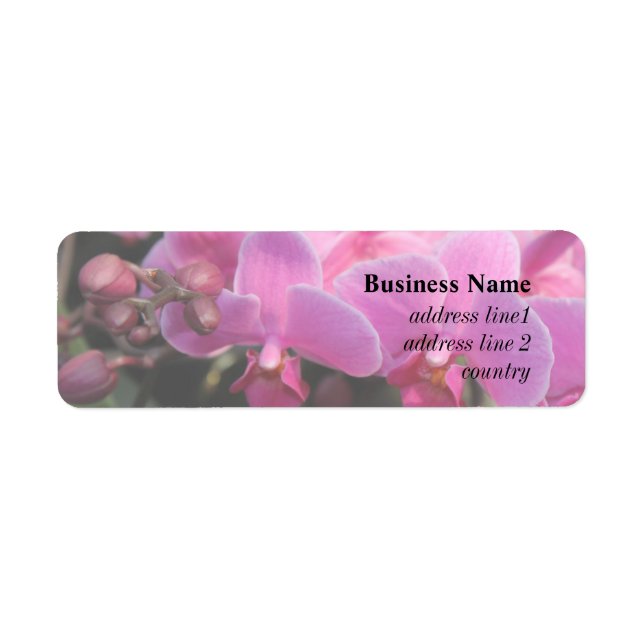 pretty pink orchid flowers (Front)
