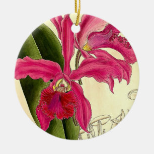 Pretty Pink Orchid Vintage Illustration Ceramic Tree Decoration
