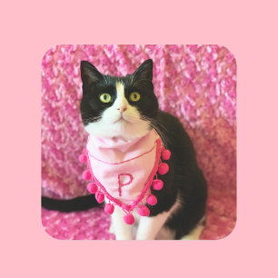 Pretty Pink Peaches the Tuxedo Cat Stickers