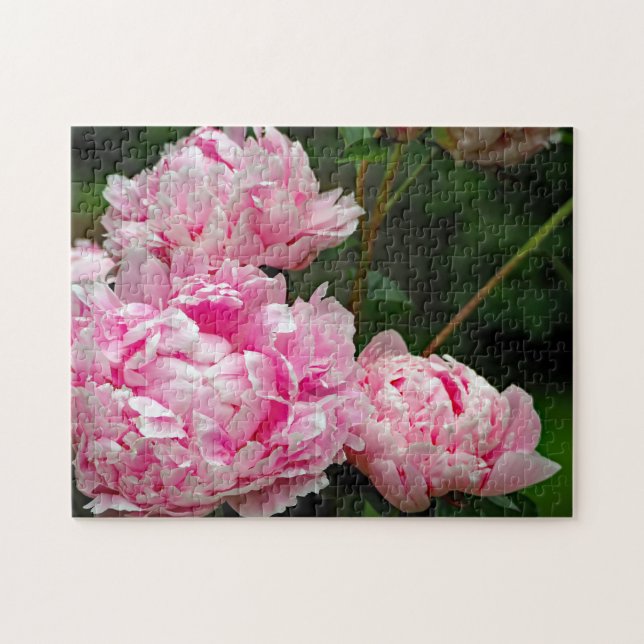 Pretty Pink Peonies Floral Photo Jigsaw Puzzle (Horizontal)