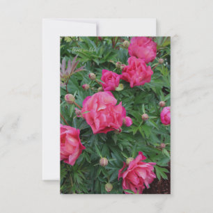 Pretty Pink Peony Bush Card