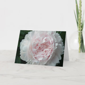 Pretty Pink Peony Card