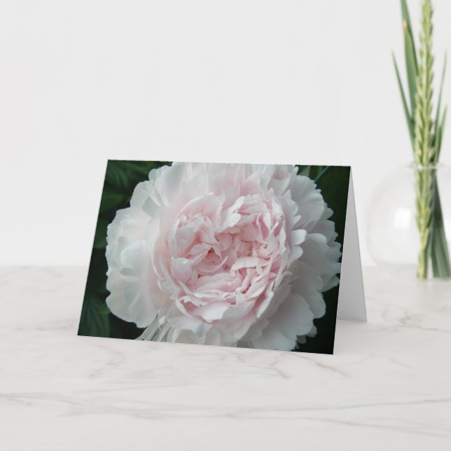 Pretty Pink Peony Card (Front)