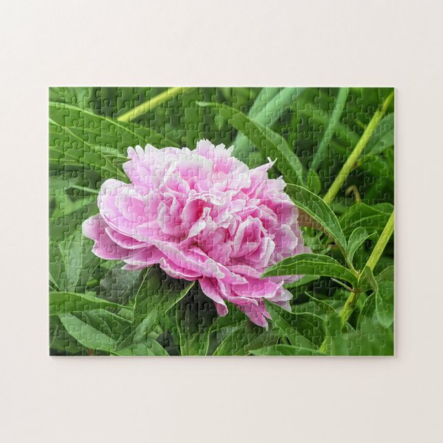Pretty Pink Peony Jigsaw Puzzle (Horizontal)