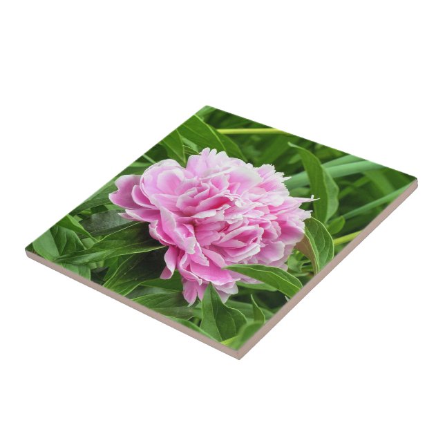 Pretty Pink Peony Tile (Side)