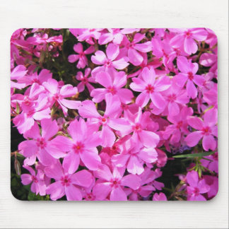 Pretty Pink Phlox Mouse Pad