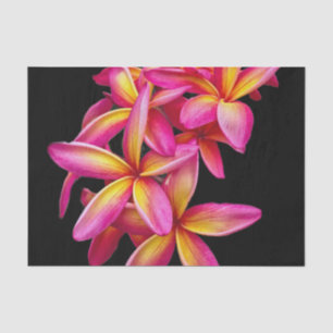Pretty Pink Plumeria Floral Photo Tissue Paper
