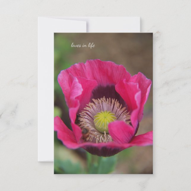 Pretty Pink Poppy Card (Front)