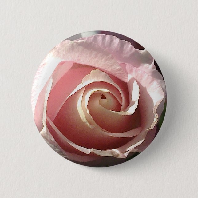 Pretty pink rose 6 cm round badge (Front)