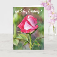 Pretty Pink Rose Bud Flower Art Birthday Card