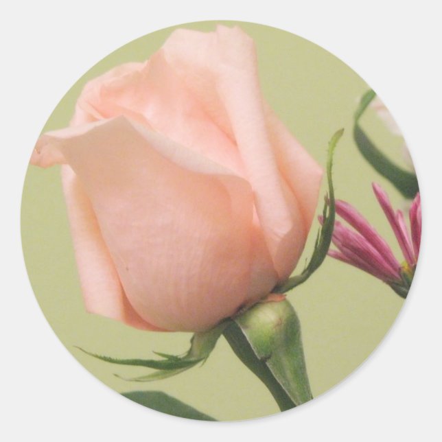 Pretty Pink Rose Classic Round Sticker (Front)