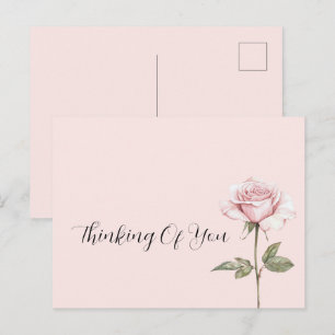 Pretty Pink Rose Flower Postcard