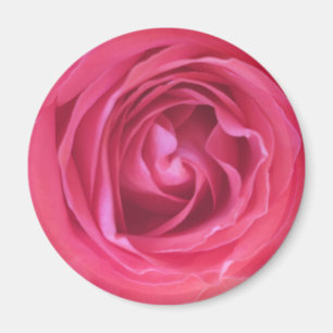 Pretty Pink Rose Magnet