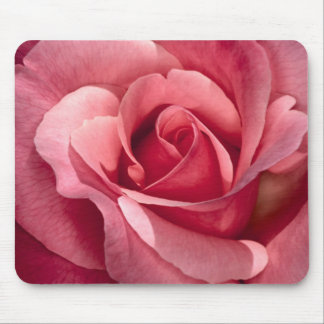 Pretty Pink Rose Mousepad