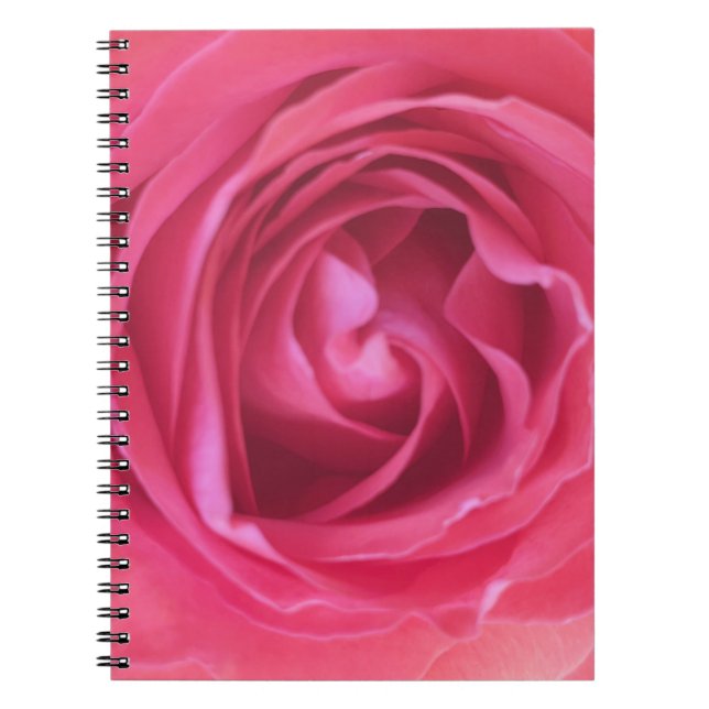 Pretty Pink Rose Notebook (Front)