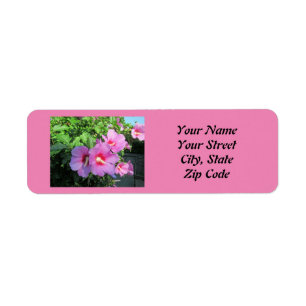 Pretty Pink Rose Of Sharon Photo