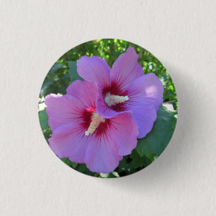 Pretty Pink Rose of Sharon Photography 3 Cm Round Badge
