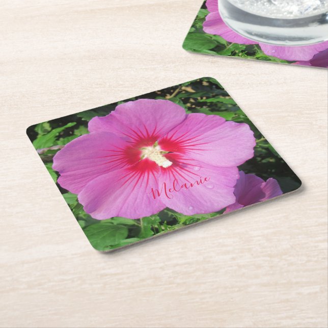 Pretty Pink Rose of Sharon Waterdrops Petals  Square Paper Coaster (Angled)