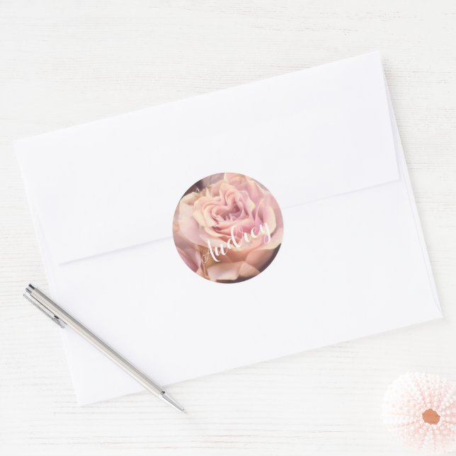 Pretty Pink Rose On Pale Gray  Classic Round Sticker (Envelope)