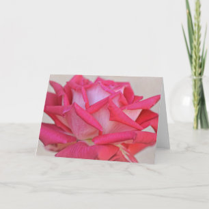 Pretty Pink Rose Photographic Art Note Card