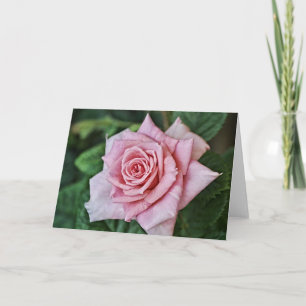 Pretty Pink Rose Scripture Card Hebrews 10:23