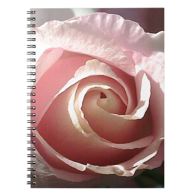 Pretty pink rose spiral notebook (Front)