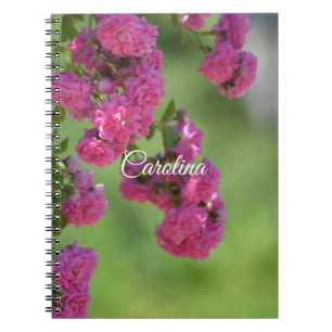 Pretty Pink Roses Floral Notebook