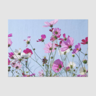 Pretty Pink Spring Meadow Flowers Tissue Paper