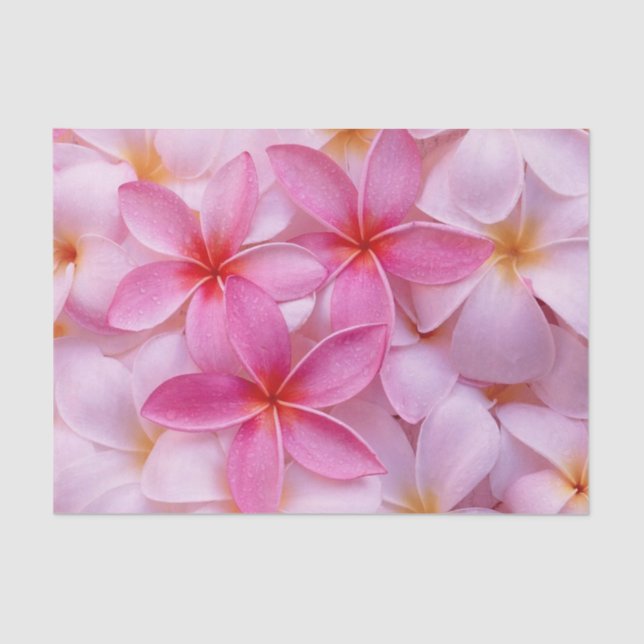 Pretty Pink Summer Flowers  Tissue Paper (Front)