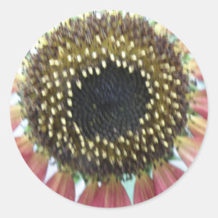 Pretty Pink Sunflower Stickers