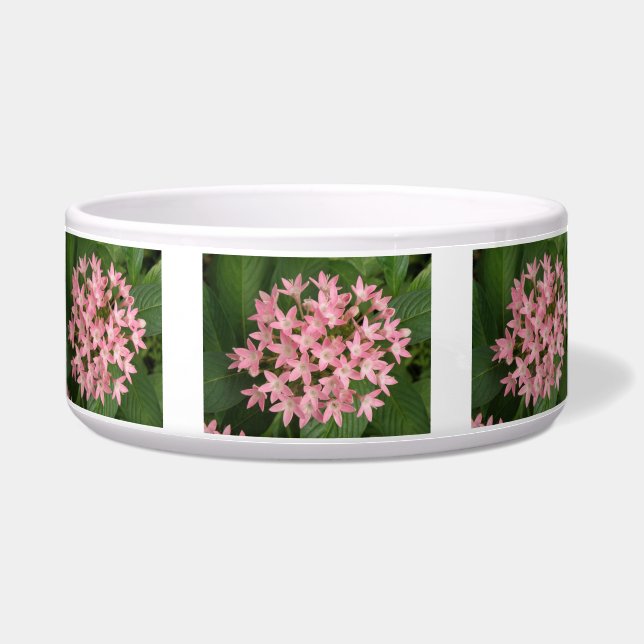 Pretty Pink Tropical Flowers Dog Bowl (Front)