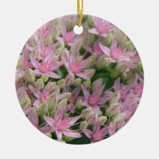 Pretty Pink Tropical Flowers Ornaments (Front)