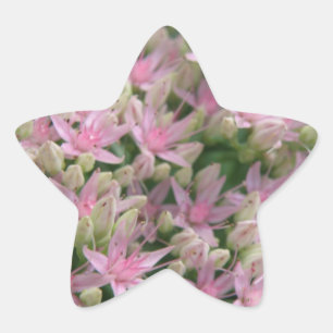 Pretty Pink Tropical Flowers Sticker