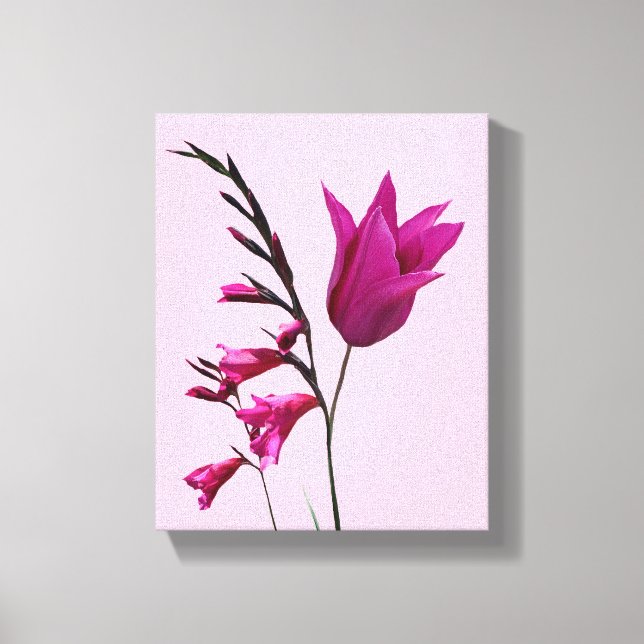 Pretty pink tulip flower simple modern floral art canvas print (Front)