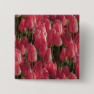 Pretty Pink Tulips 15 Cm Square Badge