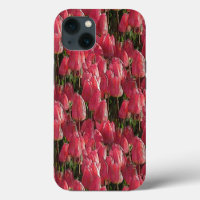 Pretty Pink Tulips