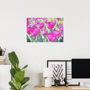 Pretty Pink Tulips Garden Art Poster