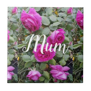 Pretty Pink Vintage Rose Flower Birthday Mum Trink Tile