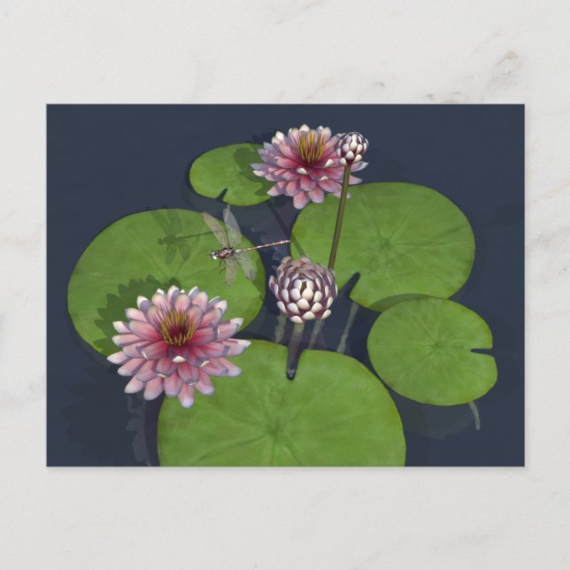 Pretty Pink Water Lily and Dragonfly Postcard (Front)