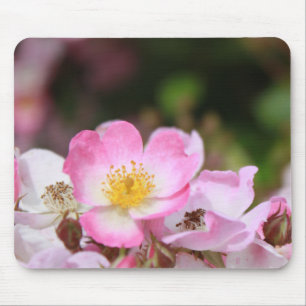 pretty pink wild rose flowers for ladies mouse pad