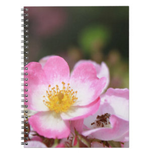 pretty pink wild rose flowers for ladies notebook