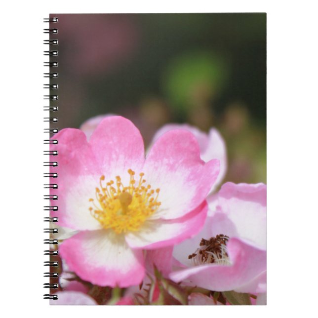 pretty pink wild rose flowers for ladies notebook (Front)
