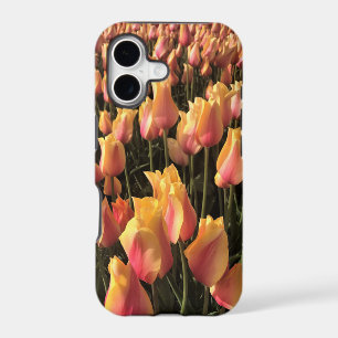 Pretty Pink & Yellow Tulips