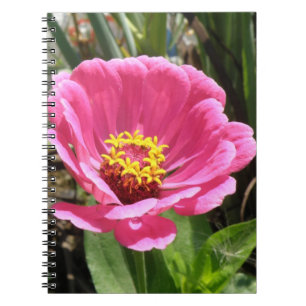 Pretty Pink Zinnia Notebook